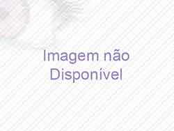 Busca Orgânica